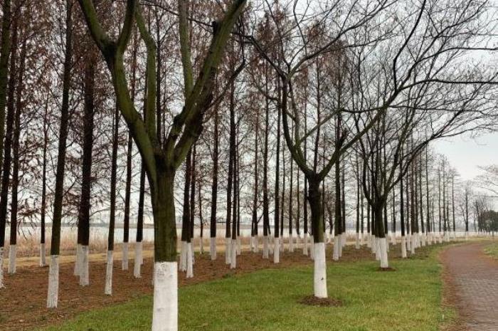 无锡开放共享公园绿地有哪些 无锡开放共享公园绿地有哪些