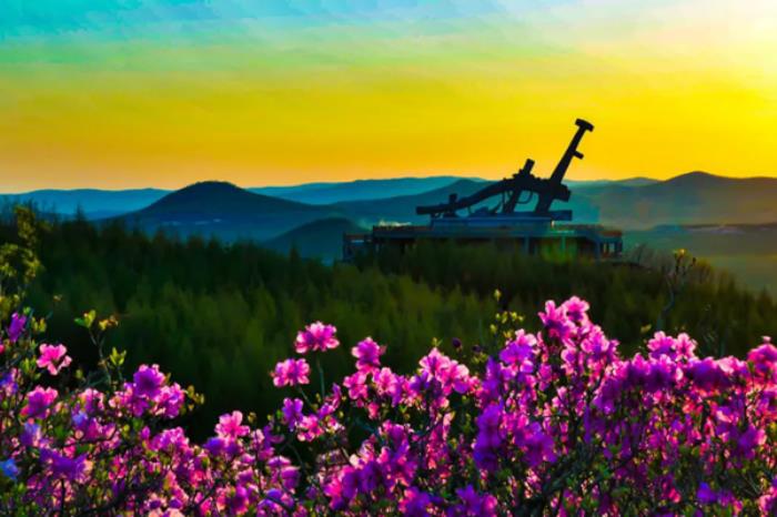 双鸭山春季有哪些赏花观鸟的地方推荐 双鸭山春季有哪些赏花观鸟的地方推荐