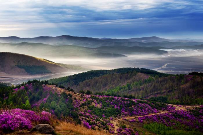 双鸭山春季有哪些赏花观鸟的地方推荐 双鸭山春季有哪些赏花观鸟的地方推荐