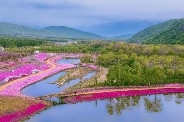 双鸭山春季有哪些赏花观鸟的地方推荐 双鸭山春季有哪些赏花观鸟的地方推荐