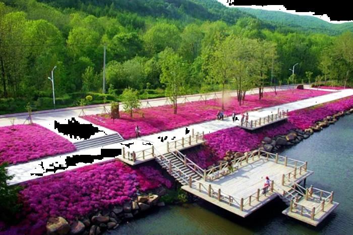 双鸭山春季有哪些赏花观鸟的地方推荐 双鸭山春季有哪些赏花观鸟的地方推荐