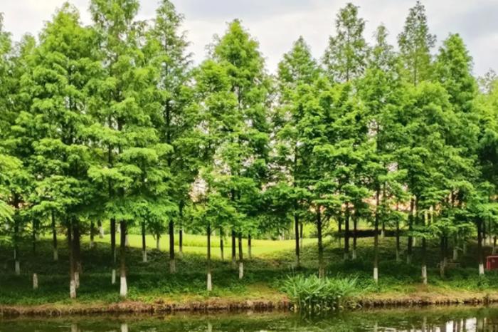 越城有哪些好逛的公园推荐 越城有哪些好逛的公园推荐