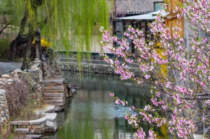 古北水镇春季有哪些花看 古北水镇春季有哪些花看