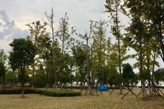 南京带孩子去哪里玩 南京带孩子去哪里玩