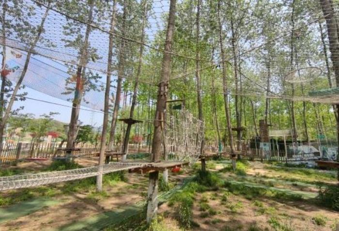 南京带孩子去哪里玩 南京带孩子去哪里玩