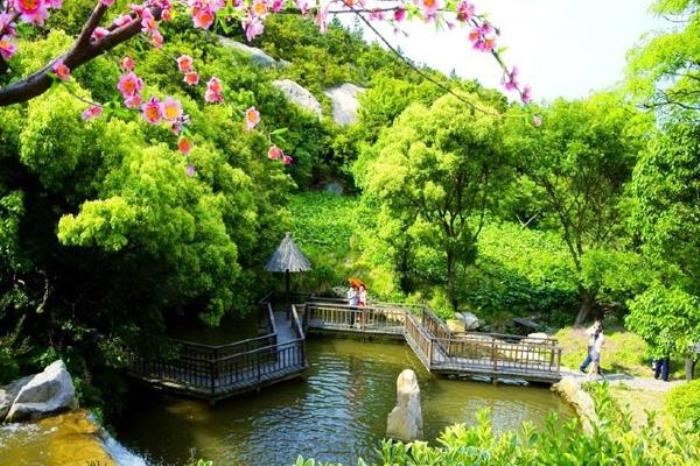 桃花岛桃花寨怎么去 桃花岛桃花寨怎么去