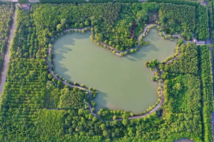 上海春季有哪些适合骑行的地方推荐 上海春季有哪些适合骑行的地方推荐