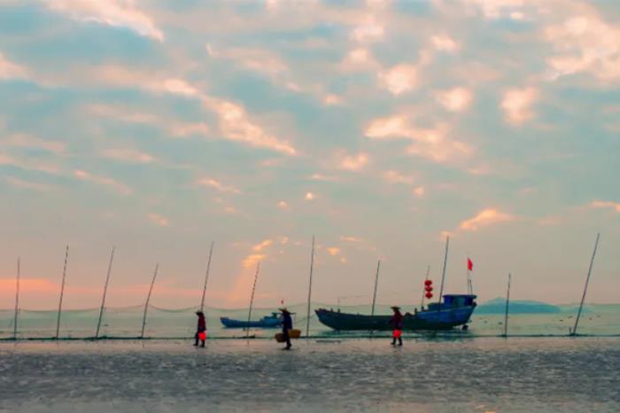 上海春季有哪些适合骑行的地方推荐 上海春季有哪些适合骑行的地方推荐