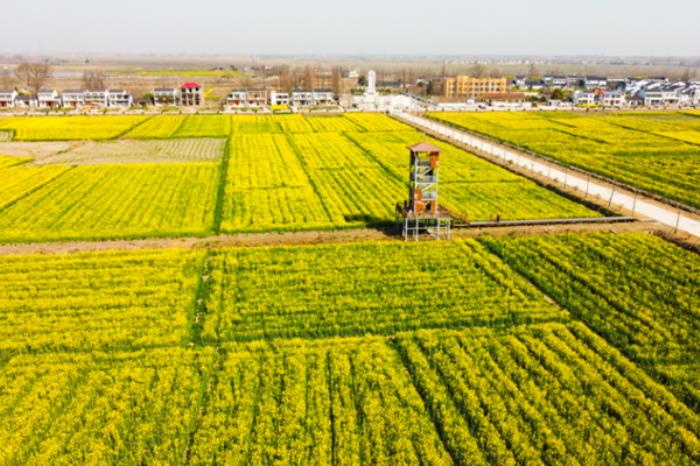 潜江春季有哪些赏花的地方推荐 潜江春季有哪些赏花的地方推荐