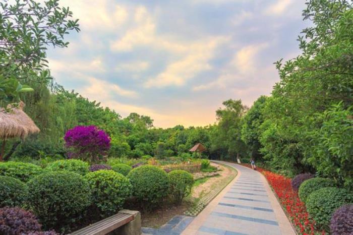 成都植物园在哪儿 成都植物园在哪儿