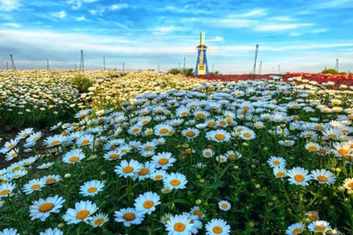 苏州太湖园博园在哪里 怎么去 苏州太湖园博园在哪里 怎么去