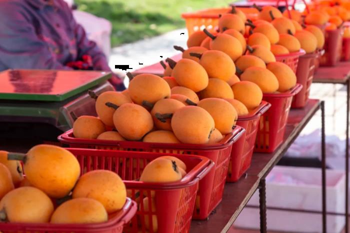 荣县有哪些采摘水果的地方推荐 荣县有哪些采摘水果的地方推荐