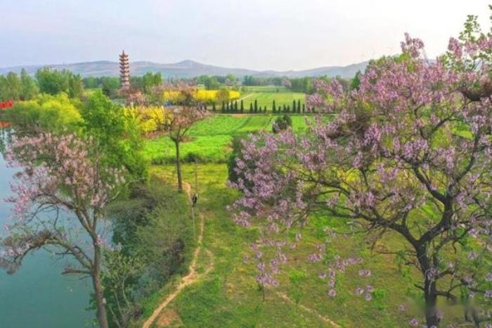 河南春季有哪些好玩的旅游线路值得打卡 河南春季有哪些好玩的旅游线路值得打卡