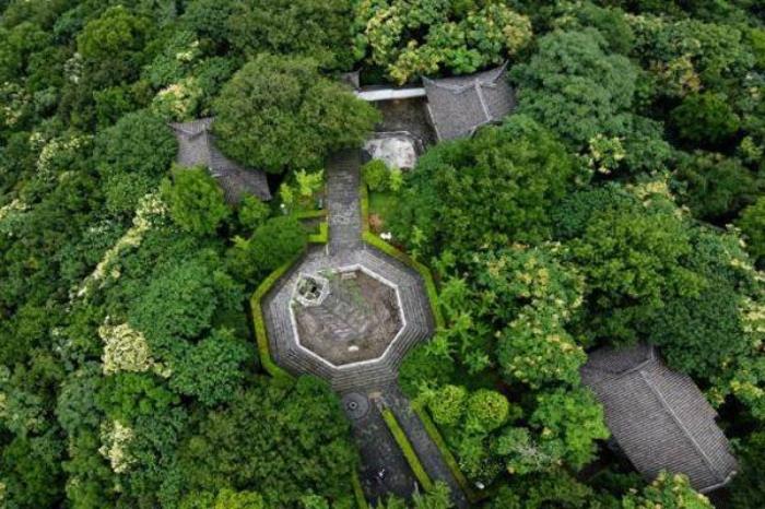 天马山公园在哪里 怎么去 天马山公园在哪里 怎么去