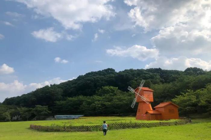 苏州上方山森林公园和动物园在不在一起 苏州上方山森林公园和动物园在不在一起