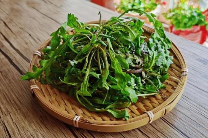 六安春季有哪些好吃的野菜