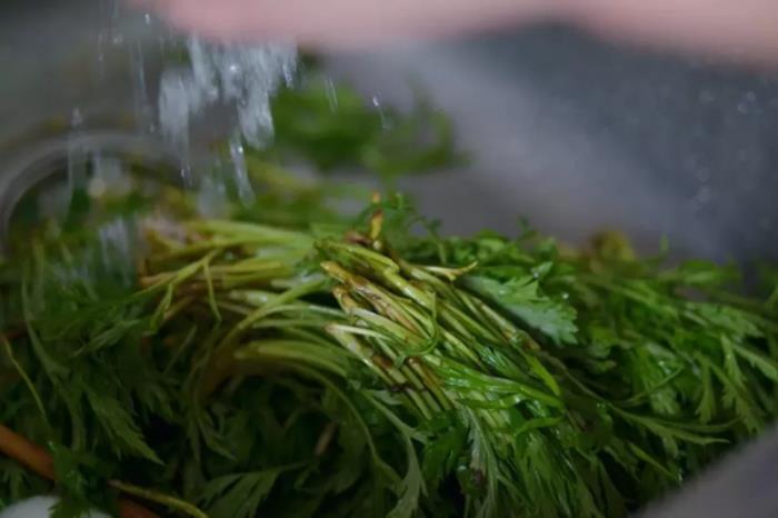 六安春季有哪些好吃的野菜