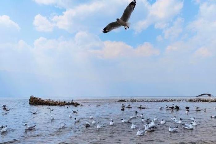 大理旅游最佳时间是几月 大理旅游最佳时间是几月