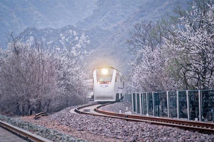 北京s2线什么时候最美 北京s2线什么时候最美