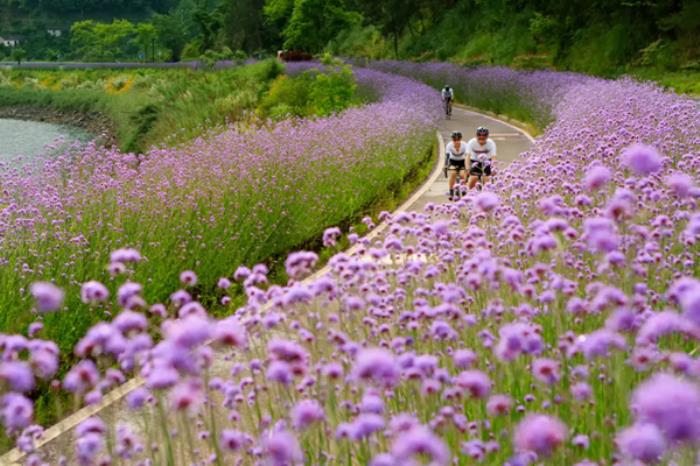 千岛湖春季有哪些特色好玩的地方推荐 千岛湖春季有哪些特色好玩的地方推荐