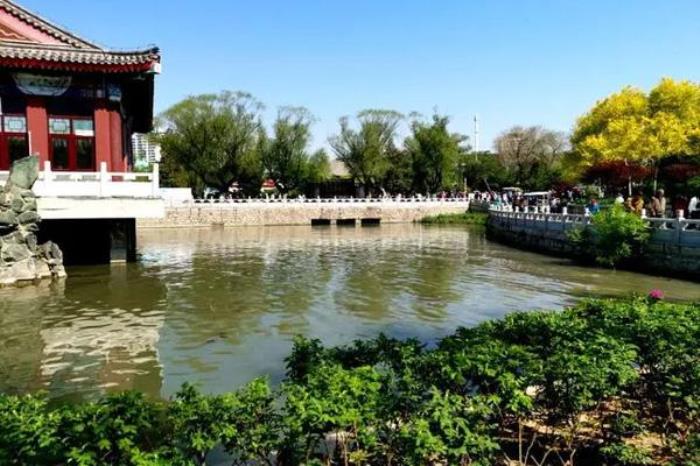 天津水上公园具体地址在哪 天津水上公园具体地址在哪