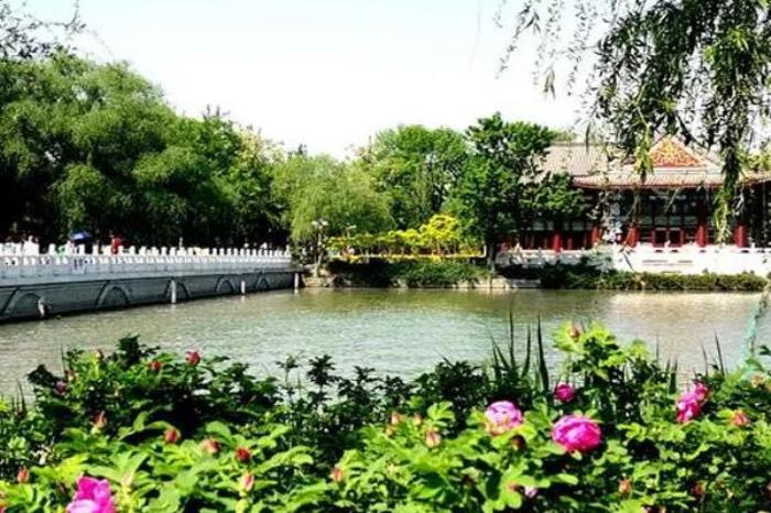 天津水上公园具体地址在哪 天津水上公园具体地址在哪