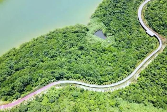 深圳绿道哪条最美 深圳绿道哪条最美