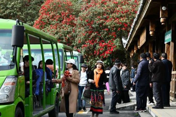 百里杜鹃景区观光车路线是怎么走的