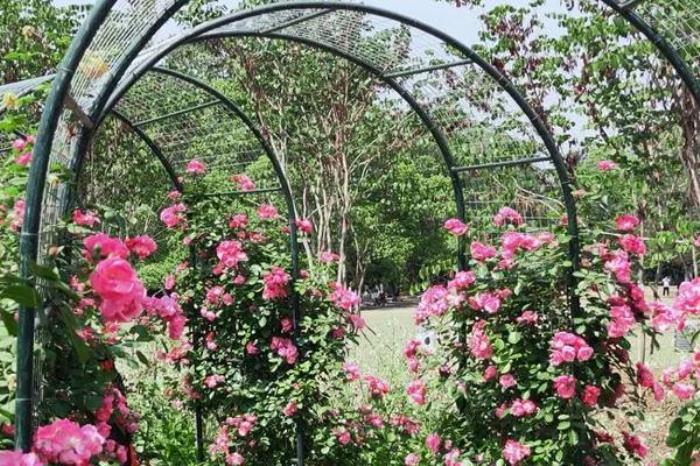 成都植物园适合几月去 成都植物园适合几月去