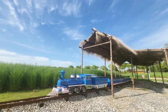 上海宝山月浦镇有哪些好玩的地方推荐