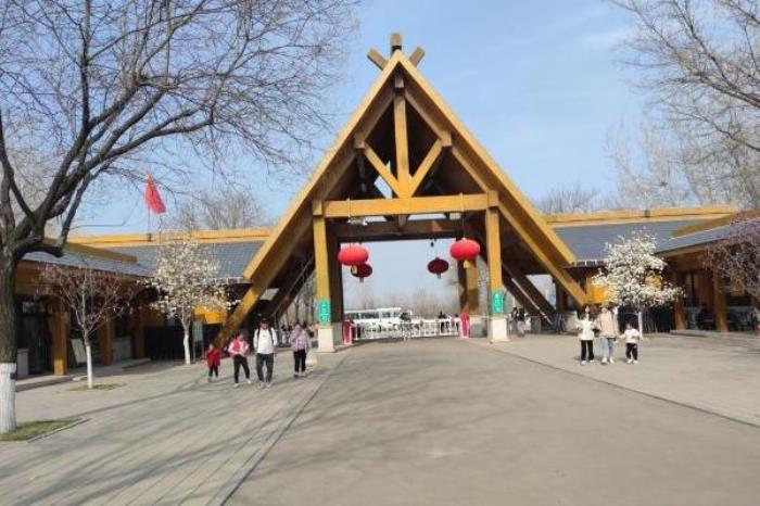 济南植物园能搭帐篷吗