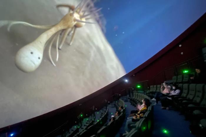 抚仙湖有哪些适合踏青赏春的景点推荐 抚仙湖有哪些适合踏青赏春的景点推荐