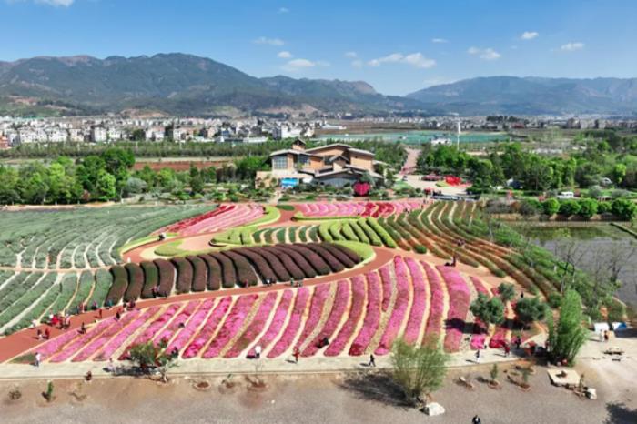 抚仙湖有哪些适合踏青赏春的景点推荐 抚仙湖有哪些适合踏青赏春的景点推荐