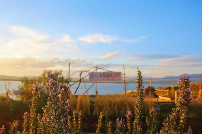 抚仙湖有哪些能BBQ的地方