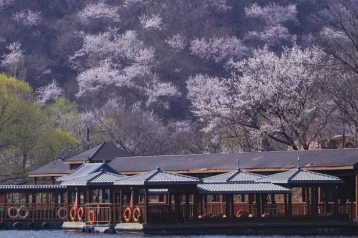 水长城桃花什么时候开