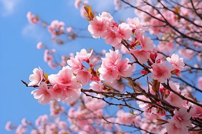 武汉有哪些必打卡的春季旅行线路推荐 武汉有哪些必打卡的春季旅行线路推荐