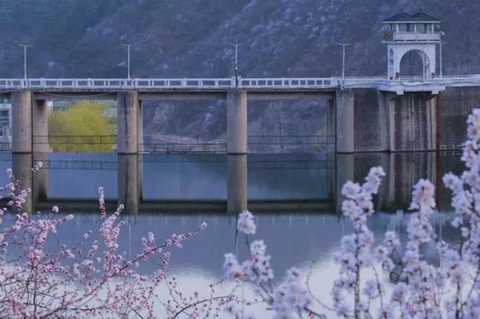 水长城桃花什么时候开 水长城桃花什么时候开
