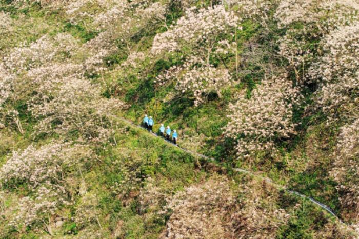 三堡乡油桐花园地址在哪? 三堡乡油桐花园地址在哪?