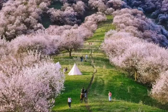 新疆四月有哪些好玩的旅游线路推荐 新疆四月有哪些好玩的旅游线路推荐