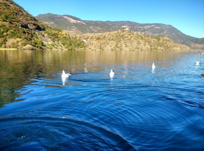 写下此篇云南自由行旅游攻略大全(详细介绍)(组图) 写下此篇云南自由行旅游攻略大全(详细介绍)(组图)