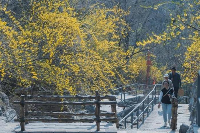 潭溪山春季有哪些花看 潭溪山春季有哪些花看