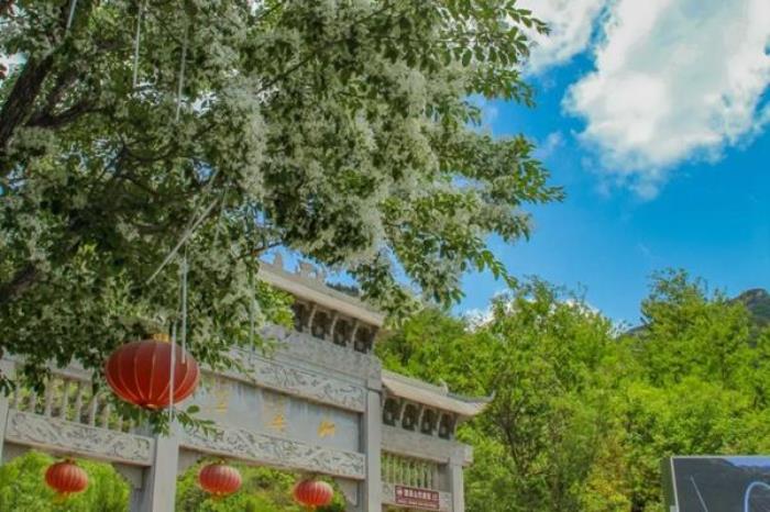 潭溪山春季有哪些花看 潭溪山春季有哪些花看