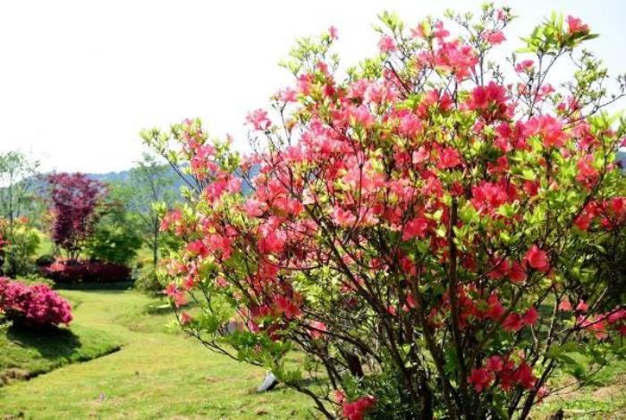 无锡踏青的好地方有哪些 无锡踏青的好地方有哪些