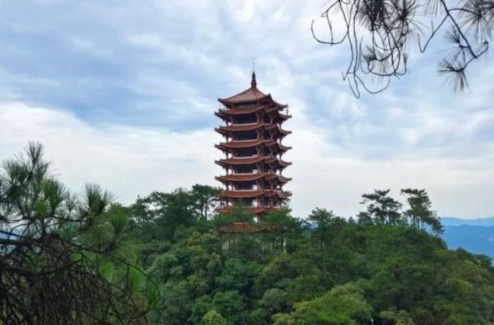 重庆缙云山日出观景怎样预约 重庆缙云山日出观景怎样预约