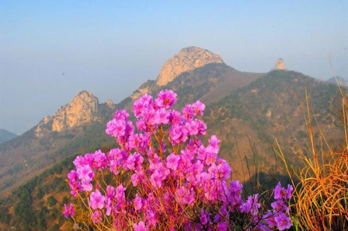 临沂有哪些适合赏春登高的景点推荐