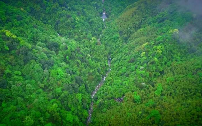 九宫山春季有哪些特色玩法 九宫山春季有哪些特色玩法