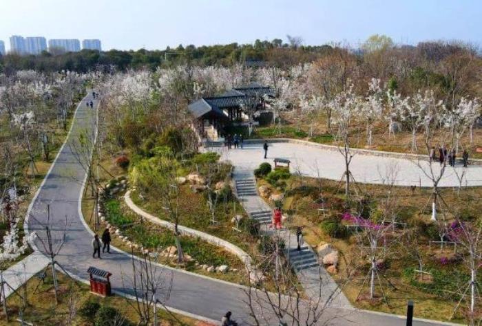 徐州看樱花最好的地方在哪里 徐州看樱花最好的地方在哪里