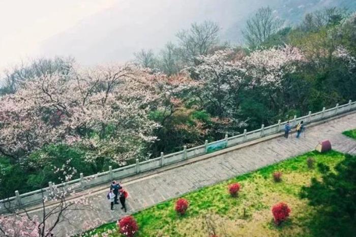 江西有哪些看花的地方推荐 江西有哪些看花的地方推荐