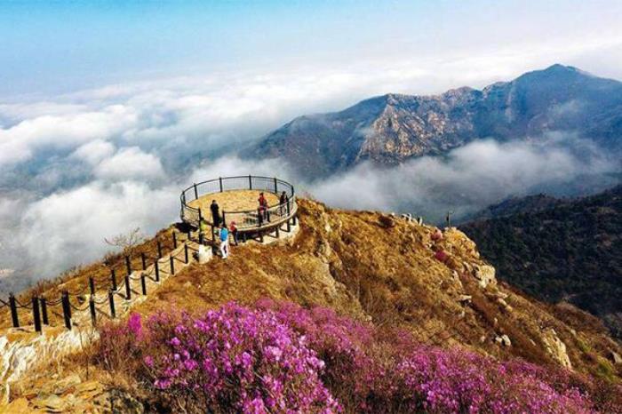 大连大黑山海拔多少米 大连大黑山海拔多少米