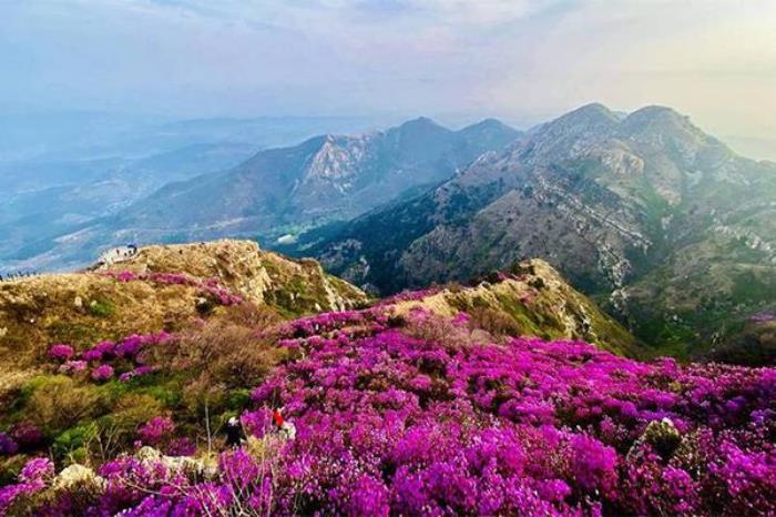 大连大黑山海拔多少米 大连大黑山海拔多少米